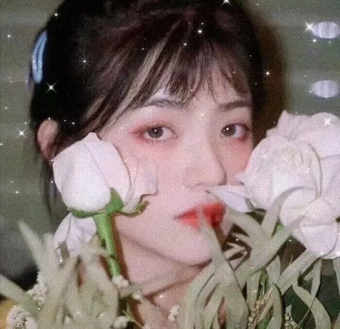 焦土之城